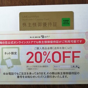 梅の花　株主優待証　有効期限2025年7月31日迄