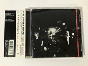 SL501 THE STREET BEATS / RED HOT BLOOD 【CD】 0812