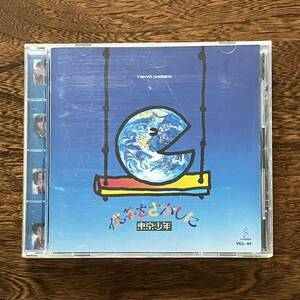 24-8【CD】 東京少年 僕らをさがしに 中古品