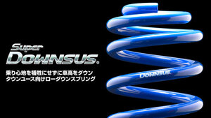 1台分 エスペリア Super DOWNSUS ニッサン プレーリージョイ PM11 H7/8～10/11