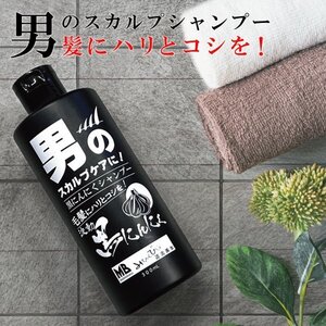 ノンシリコンスカルプシャンプー 黒にんにくプロテオグリカン 頭皮ケア 道奥美女男のシャンプー 300ml【商品番号6030】