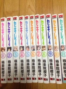 セキレイ　極楽院櫻子　 1～11巻セット