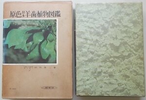 原色日本羊歯植物図鑑　田川基二(著)　昭和42年