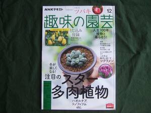 NHK 趣味の園芸 2020年12月号 注目の多肉植物