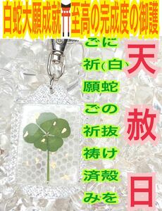 白蛇の抜け殻 本物 天然物 五つ葉のクローバー キーホルダー 脱け殻 メモリーオイル 財運 恋愛運 白蛇のお守り【天赦日ご祈祷済み】財布 23