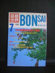 ★　盆栽世界　★　1988年 7月号