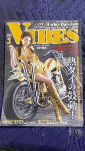 【1600】VIBES バイブズ ハーレーダビッドソン バイカーズマガジン 2020年3月号Vol.317 【表紙:水野星奈】