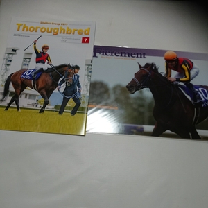 フィエールマン C.ルメール騎手 A4 クリアファイル & 社台グループ会報 Thoroughbred 7月号