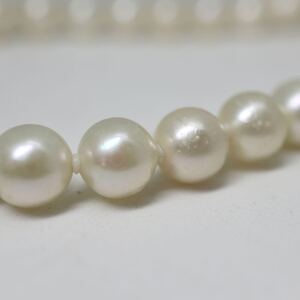 1円〜!!▲アコヤ本真珠ネックレス▲D 約31.7g 約43.5cm 約7.0-7.5mm珠 pearl necklace jewelry パール DC0/DE0 51