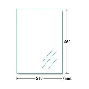 メール便発送 エーワン LBPラベル 屋外でも使える透明タイプ 31032 00069197