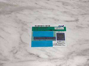 A3849 全日空 ANA株主優待券 2024年12月1日～2025年11月30日 1枚 即決あり コード通知のみOK！