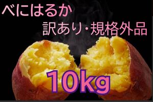 訳ありさつまいも10kg　紅はるか　規格外品　べにはるか　お徳用　土付き 産地直送　山形県産