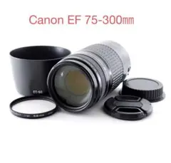 キヤノン/フード付き/Canon EF 75-300㎜F4-5.6　 USM