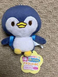 ♪ みにくり　海のほいくえん　マスコット　BC いちねんせい　ペンギン　ぬいぐるみ