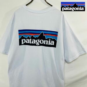 【レアカラー】 パタゴニア バックプリント Tシャツ M 白グレー ブランドロゴ Patagonia ロゴプリント 半袖 