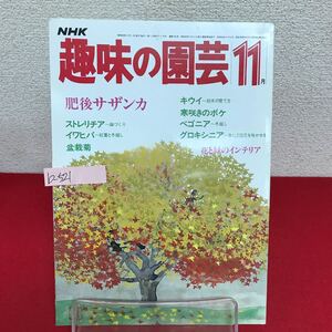 b-521 ※9 NHK 趣味の園芸 昭和59年11月号 肥後サザンカ ストレリチア 盆栽菊 寒咲きのボケ 多肉植物/根や茎の肥大を楽しむ