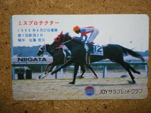 I1845・ミスプロテクター　競馬　テレカ