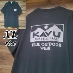 KAVU　カブー　GILDAN　プリントロゴ　Tシャツ ストリート アウトドア