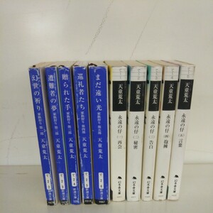 天童荒太 家族狩り全５巻 永遠の仔 全５巻 合計10冊 カバーイタミ 文庫本