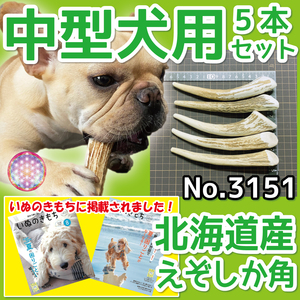 ■ 中型犬用 ■ 蝦夷鹿の角 5本セット ■ 天然 無添加 北海道産 ■ 犬のおもちゃ ■ 鹿角 エゾシカ ツノ 鹿の角 犬 31511