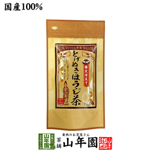 お茶 日本茶 ほうじ茶 とげぬきほうじ茶 ティーパック 掛川茶 3g×15パック ティーバッグ 送料無料