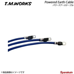 T.M.WORKS ティーエムワークス パワードアースケーブル BMW E39 6気筒車 E39