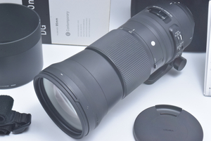 Sigma 150-600mm F5-6.3 DG OS HSM Contemporary Lens for Nikon /元箱、付属品あり [極上美品] #121