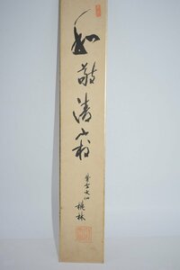 短冊 大徳寺 大仙院 尾関 桃林 「和敬清寂」 03-8615 茶道