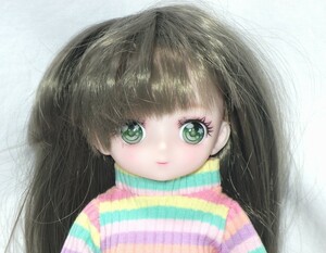 30cm ドール ヘッド ボディ ウィッグ 洋服 セット メイク済み フルセット アニメドール