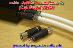 ■■ Oyaide Tunami Terzo V2＋RCA Rp_plug（GACR）/0.70m×2本