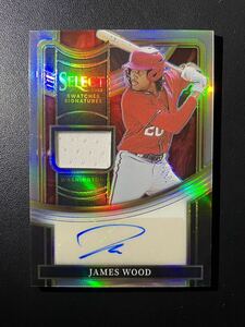 99枚限定 James Wood直筆サインカード auto autograph panini prizm Topps以外 ナショナルズ プロスペクトMLB3位 ジェームズ・ウッド 