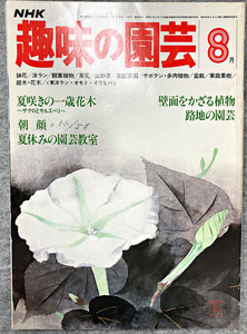 NHK 趣味の園芸 昭和55年 8月 夏咲きの一歳花木 ガーデニング 盆栽 花壇 菜園