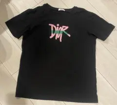 【値下げ中】DIOR 半袖 ロゴ Tシャツ