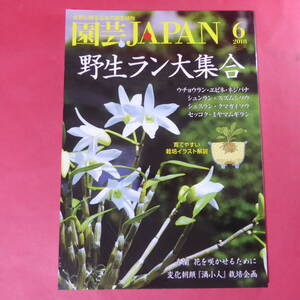 YN4-241219☆園芸JAPAN 2018年6月号　富貴蘭 ウチョウラン セッコク ミヤマウズラ 朝顔 ※ 自然と野生ラン