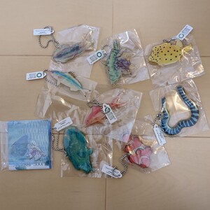 八重山の魚譜　キーホルダー　魚の譜　アクリルコレクション　