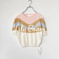 美品✨ Lily Brown　ウェーブボーダー　半袖ニットカットソー　*407