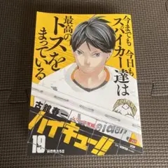 19巻　リミックス　影山飛雄　日向翔陽　ハイキュー　バラ売り　漫画