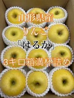 希少品種！2.山形県産りんご　はるか　秀品　3キロ箱満杯詰め