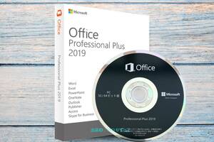 Microsoft Office Professional Plus 2019 DVD日本語版｜オンライン認証プロダクトキー｜Pro Plus 永続版｜認証保証｜未使用