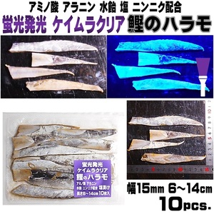 アキアジ 仕掛け アキアジ 餌 アカムツ仕掛け 釣り餌 アミノ酸 にんにく配合 蛍光発光 ケイムラクリア カツオ ハラモ 塩漬け 10枚入