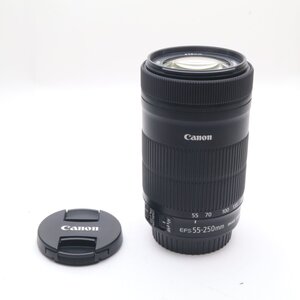 Canon キヤノン 望遠ズームレンズ EF-S55-250mm F4-5.6 IS STM APS-C対応 EF-S55-250ISSTM