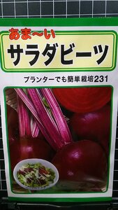 ３袋セット サラダ ビーツ あま～い 種 郵便は送料無料