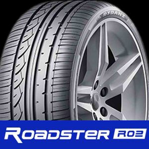 225/35ZR19 レイダン RYDANZ ROADSTER R02 4本セット Z0032 225 35 19 19インチ 国産コンフォートタイヤ シバタイヤ