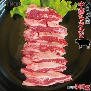 焼肉用希少部位中落ち牛カルビ500g冷凍 霜降りカルビ かるび 国産に負けない味