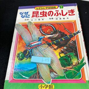 h-431 なぜなに昆虫のふしぎ なぜなに学習図鑑 13 監修/古川晴男 指導/相島敏夫 小学館 昭和48年発行 トンボ バッタ セミ など※5