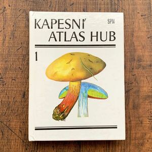 チェコの古いキノコ図鑑(KAPESNI ATLAS HUB 1 1988年)/アンティーク ヴィンテージ ヨーロッパ 洋書 キノコのイラスト キノコの絵 雰囲気◎/