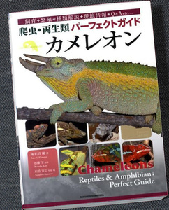 カメレオン-爬虫・両生類パーフェクトガイド｜カラー図鑑＆飼育ガイド 種別生態ガイド 飼育環境 セッティング エサ 接し方 繁殖法 爬虫類R