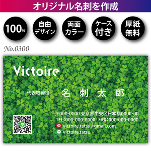 オリジナル名刺印刷 100枚 両面フルカラー 紙ケース付 No.0300