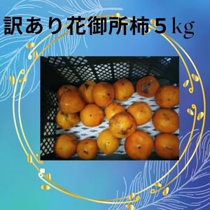 3 訳あり花御所柿５kg