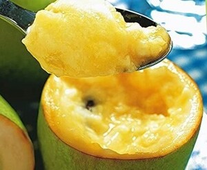 ポポー 【pawpaw】 大果350ｇ優良新種 シェナンドー【Shenandoah】接ぎ木および挿し木の穂木用 休眠枝 １本 ￥400スタート